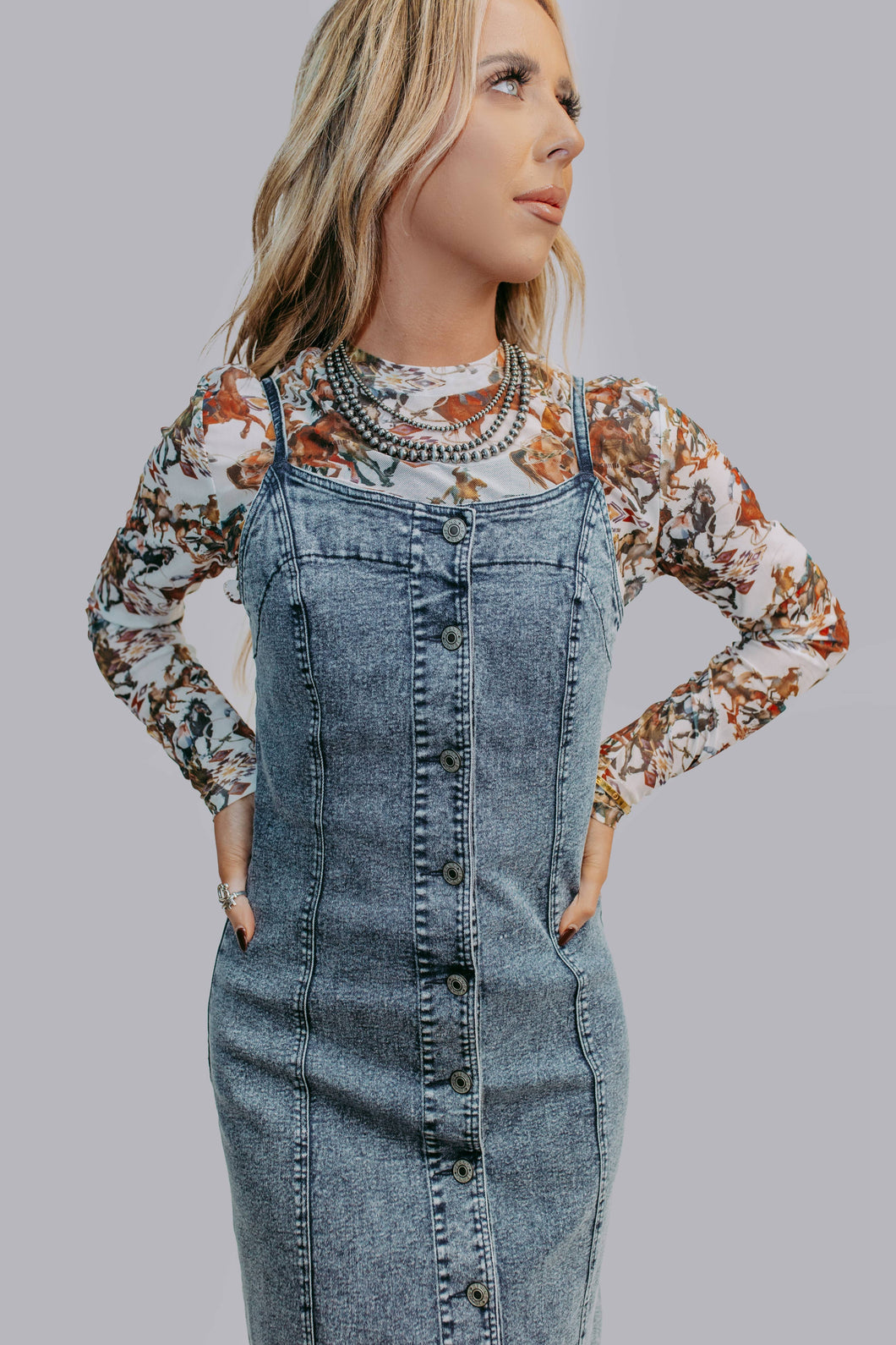 Denim Button Down Dress: Denim / L